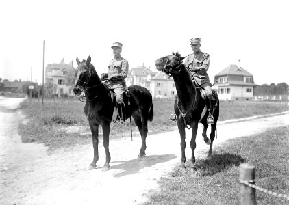 Oberst Ruffieux und Oberstleutnant Curchod - CH-BAR - 3240494