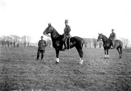 Oberstleutnant im Gst von Goumoèns zu Pferd - CH-BAR - 3240993