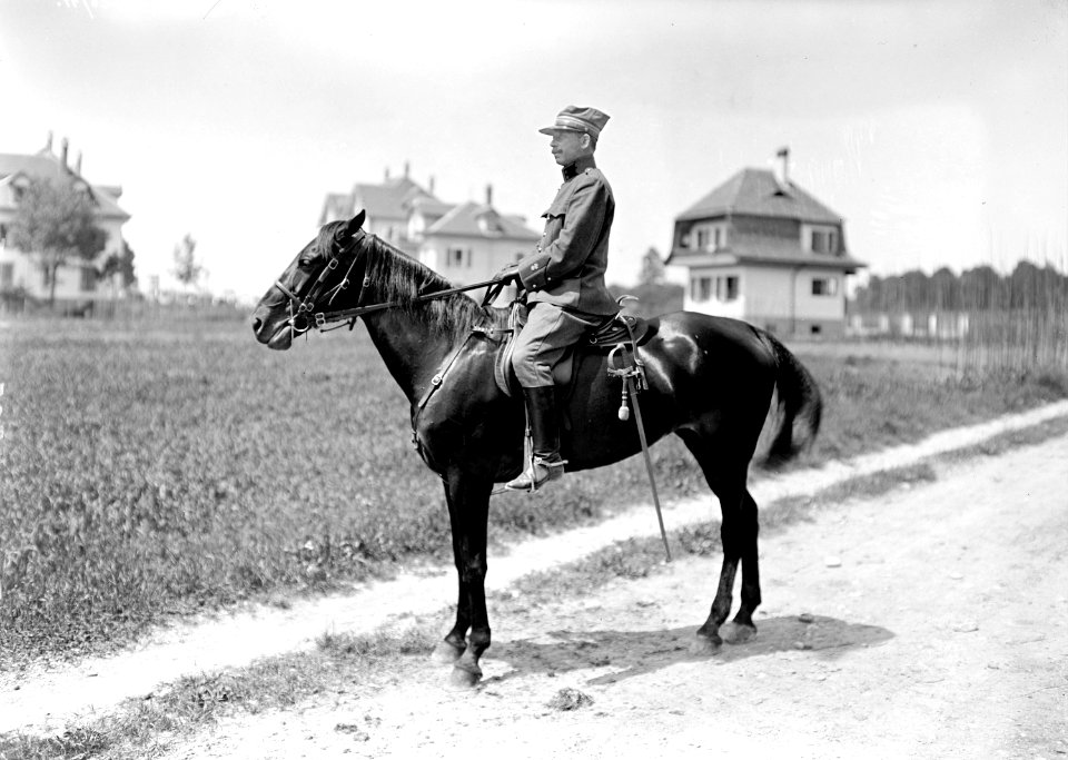 Oberstleutnant Curchod - CH-BAR - 3240499