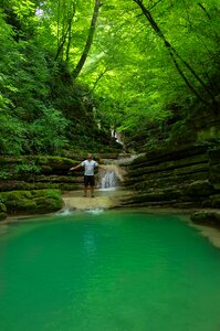 Sinop trees green photo