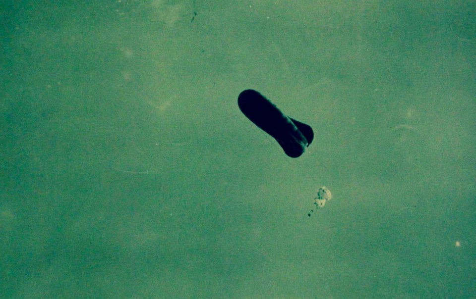 Observation balloon and man in parachute, WWI (28708438861)