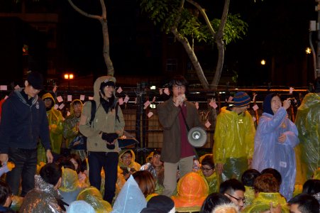 Occupy Taiwan Legislature by VOA (10)