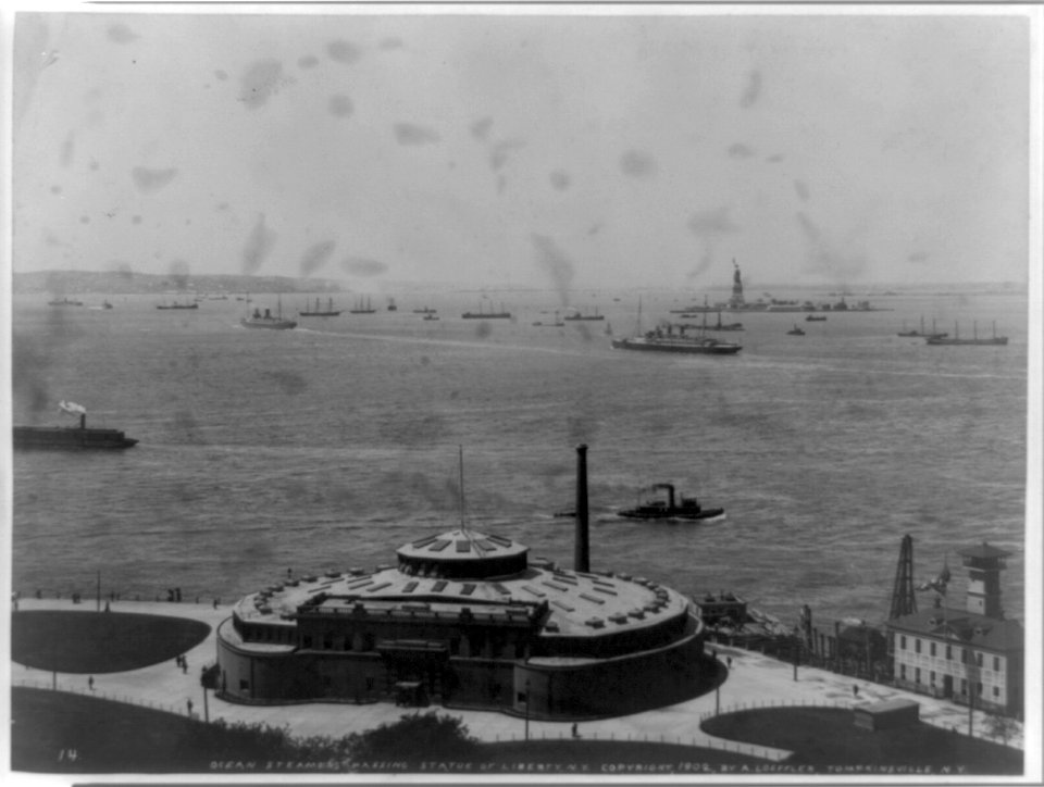 Ocean steamers passing Statue of Liberty, N.Y. LCCN96510318
