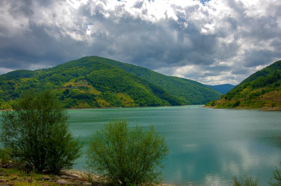 Forest yenice turkey
