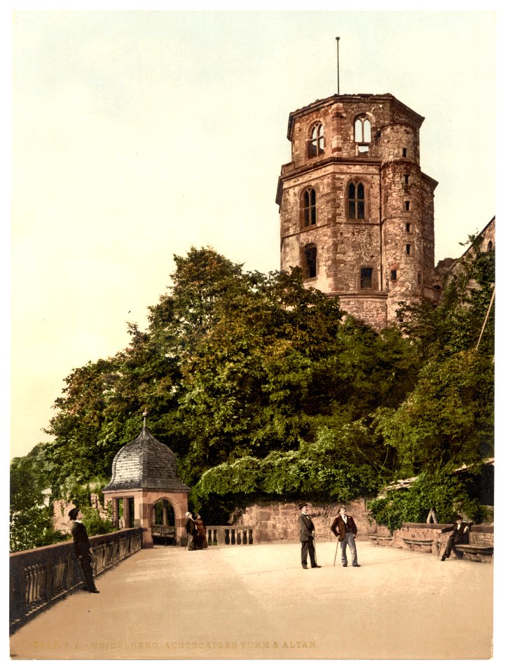 Octagonal Tower and Terrace, Heidelberg, Baden, Germany-LCCN2002713588