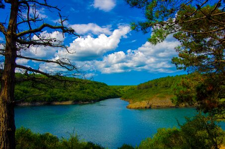 Forest yenice turkey