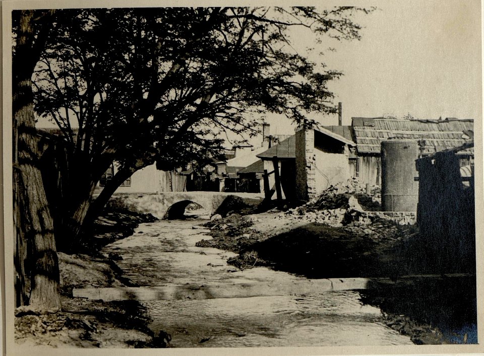 Odobesti, Strassenbild (BildID 15545266)