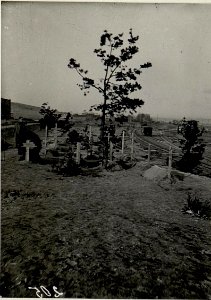 Oesterr. u.russ. Soldatengräber unweit des Bahnhofes Wolbrom. (BildID 15539264)
