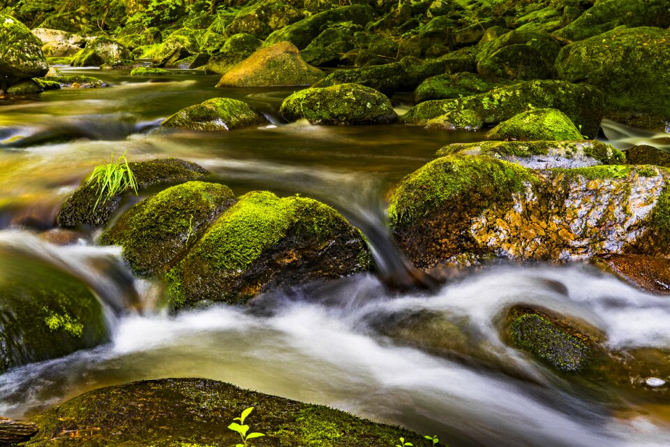 Landscape stones flow