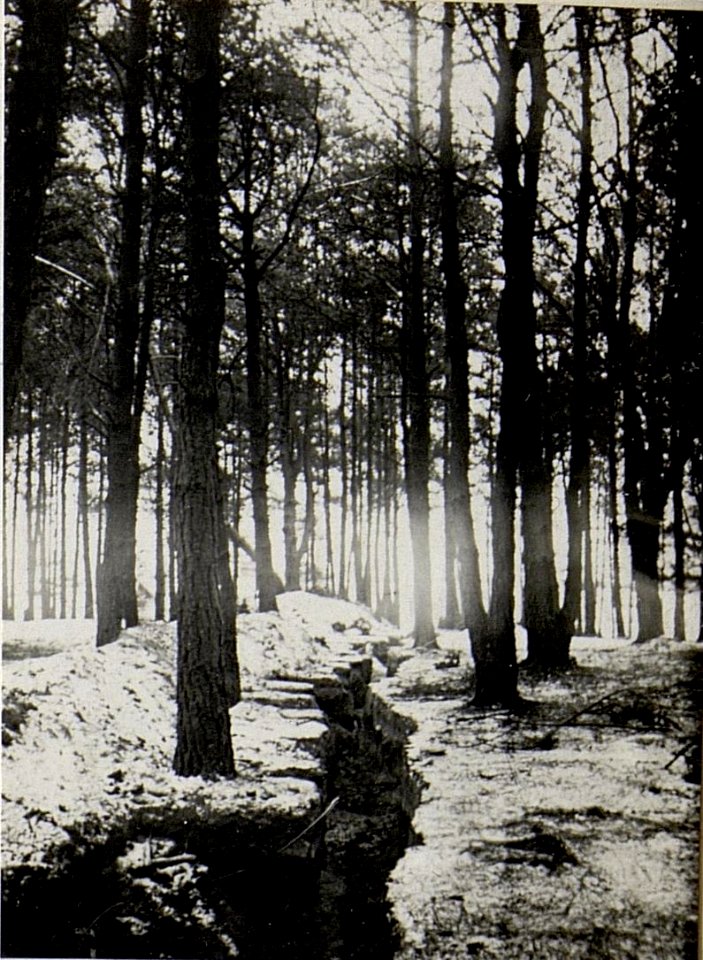 Oesterreichischer Schützengraben neben der 2, Bahnübersetzung bei Kalisz im Walde. (BildID 15539159)