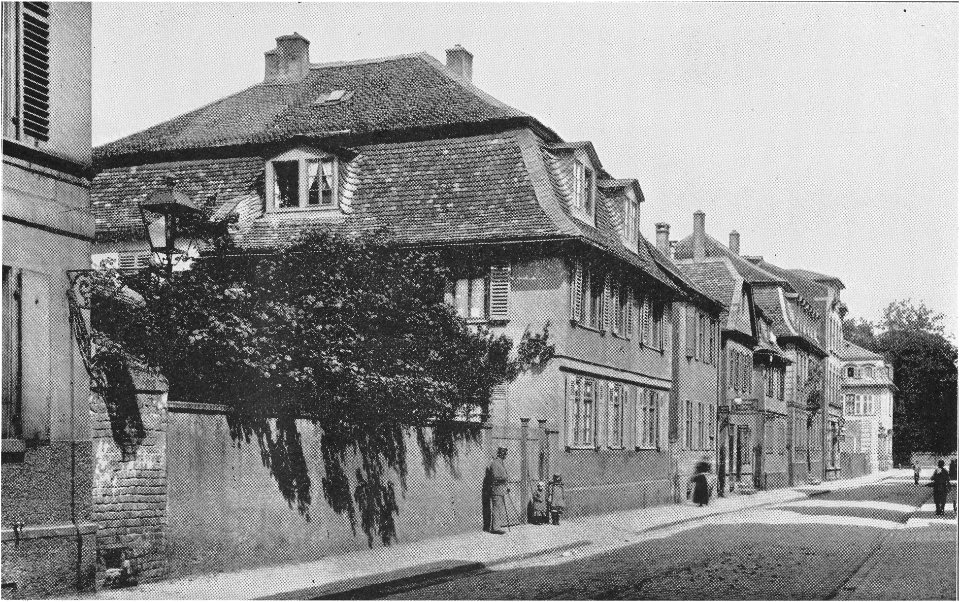 OF Herrnstr N Lehn A 1895