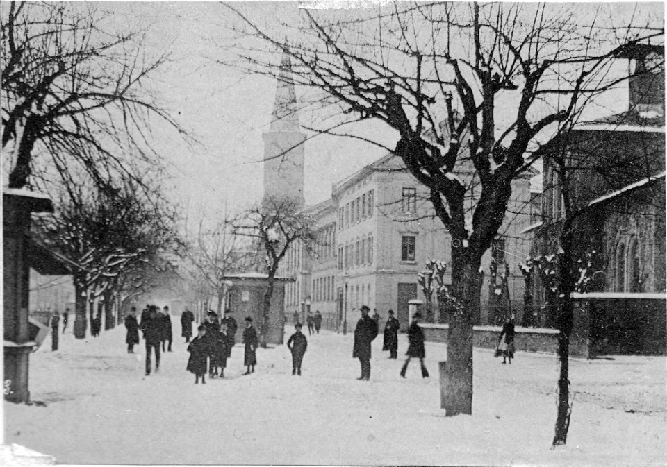 OF Kaiser Dom S 1895 5