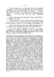 OF Pirazzi 1879 053