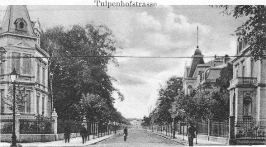 OF Tulpenhof F N 1900