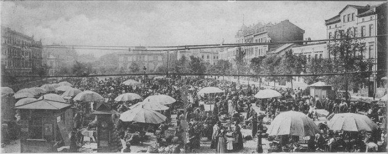 OF Wilhelm B S 1901