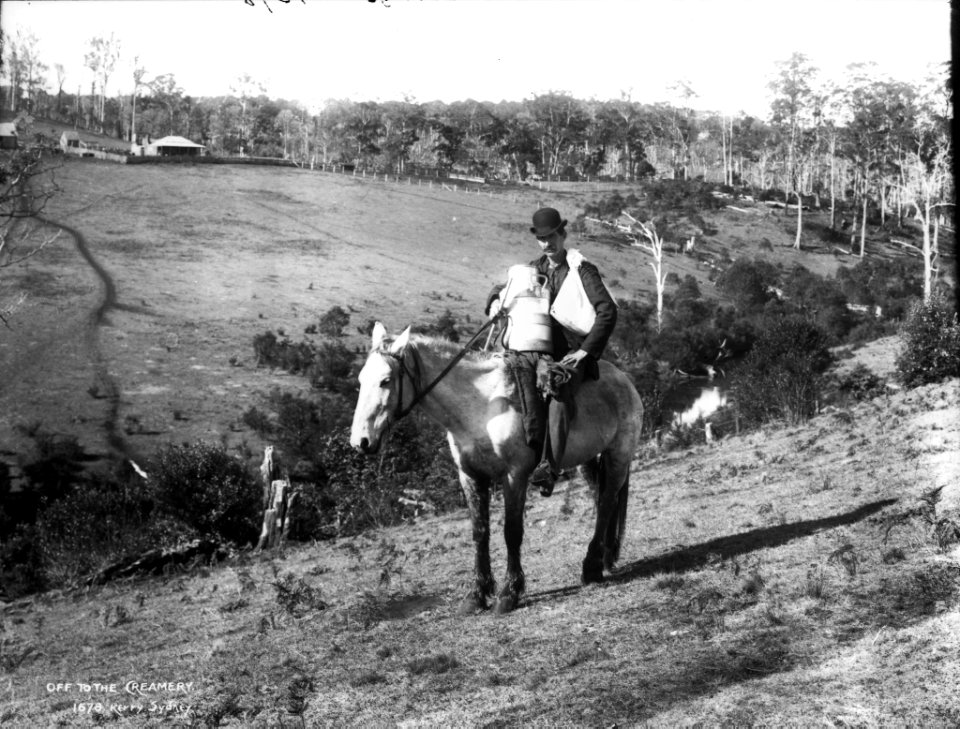 Off to the creamery from The Powerhouse Museum Collection