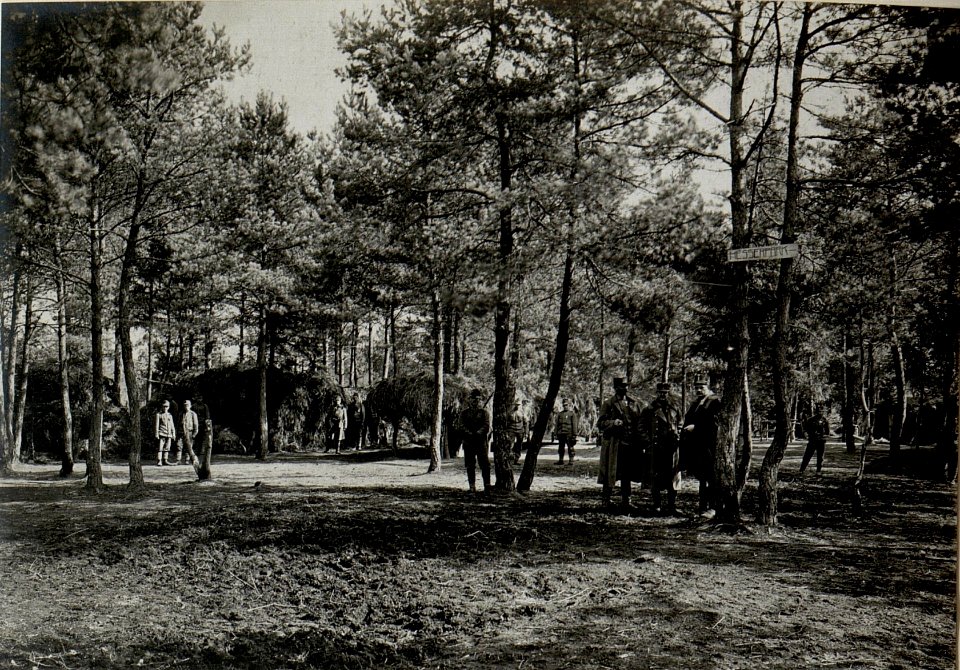 Off.& Mannschafsunterkünfe im Walde südl.Kotlice. (BildID 15540048)