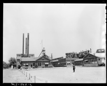 Office, power plant, and tipple of the mine. Tennessee Coal, Iron & R.R. Company, Edgewater Mine, Birmingham... - NARA - 540616