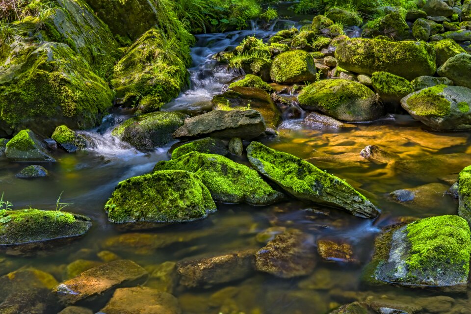Landscape stones flow