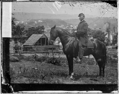 Officer on horseback - NARA - 528270 photo