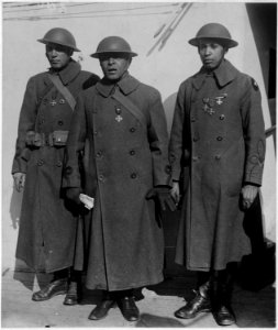 Officers of Famous (African American) Regiment which Arrived Home on the France. Left to right, . . . - NARA - 533493