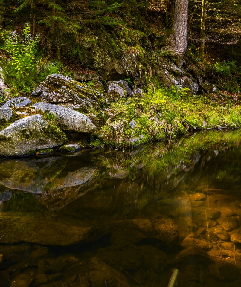 Landscape stones flow