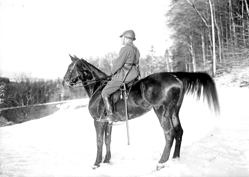 Offizier zu Pferd mit dem neuen Stahlhelm von 1917 - CH-BAR - 3240288