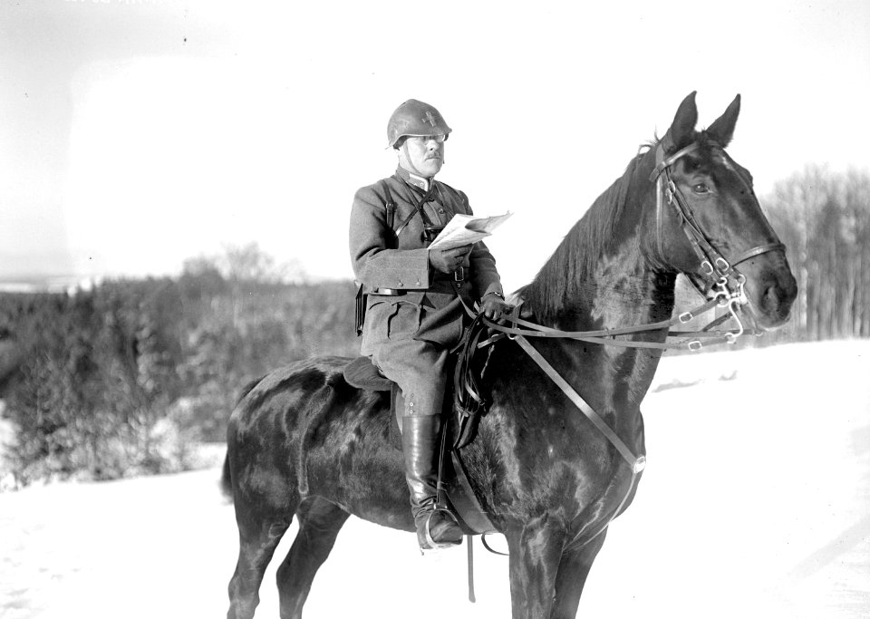 Offizier zu Pferd mit dem neuen Stahlhelm von 1917 - CH-BAR - 3240286