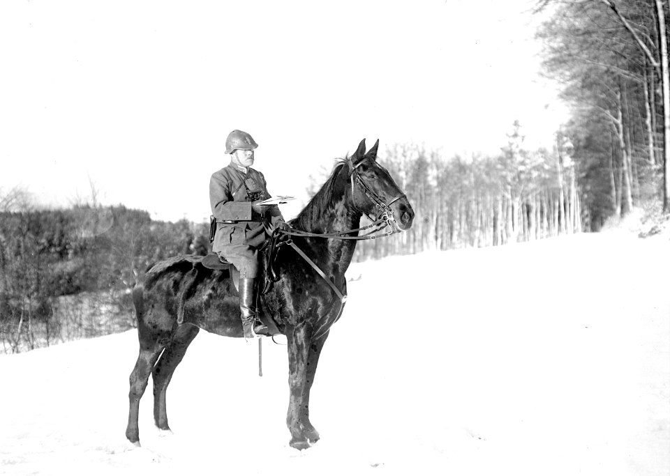 Offizier zu Pferd mit dem neuen Stahlhelm von 1917 - CH-BAR - 3240287