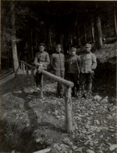 Offiziere des Stabes der 12.ITD, in Jakobeny (BildID 15453578)
