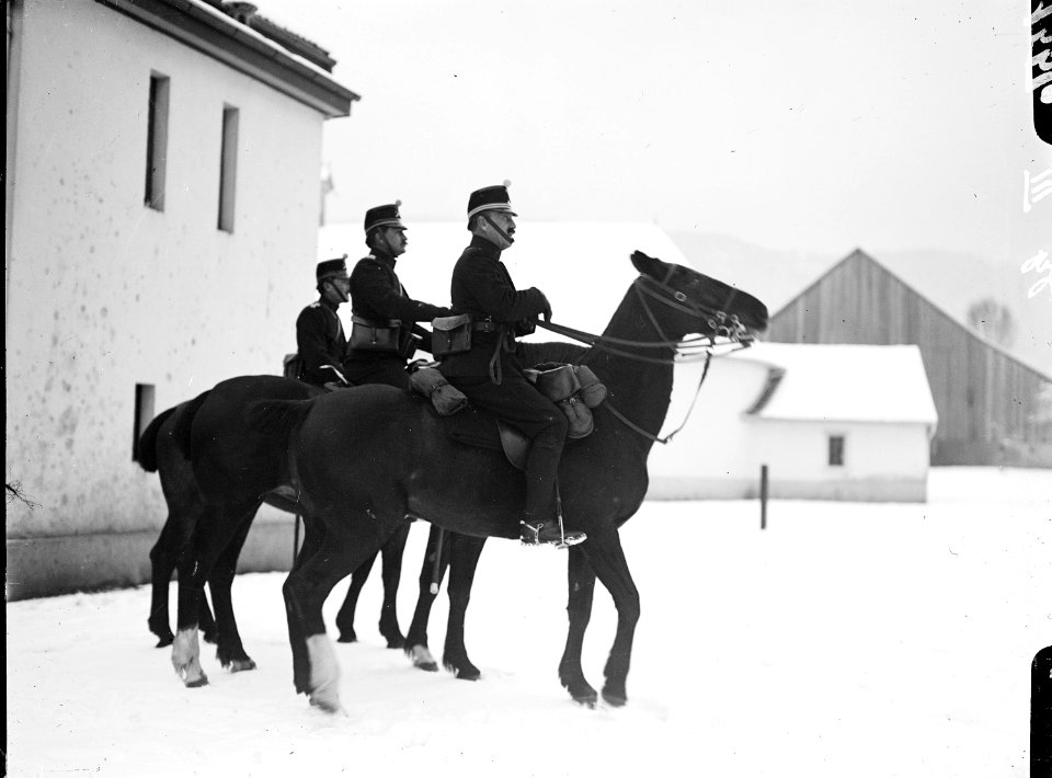 Offiziere des Gebirgsregiments zu Pferd - CH-BAR - 3236700