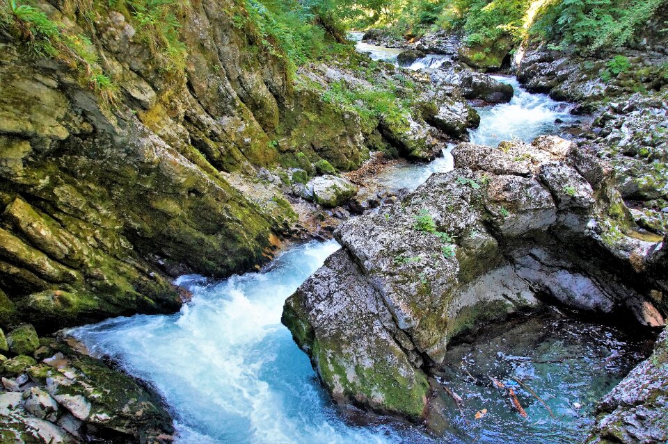 Julian alps torrent slovenia
