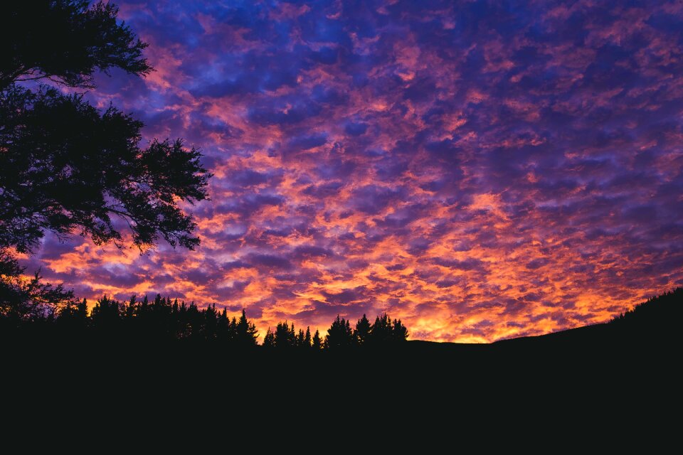 Sky cloudy trees