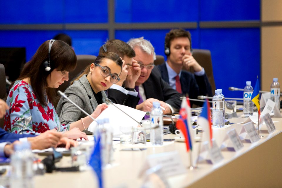 05.12.2019 Conferința de închidere a proiectului Twinning (49172285823)