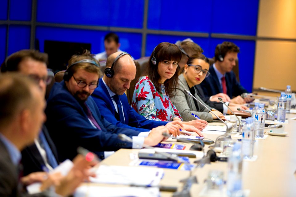 05.12.2019 Conferința de închidere a proiectului Twinning (49172766906)