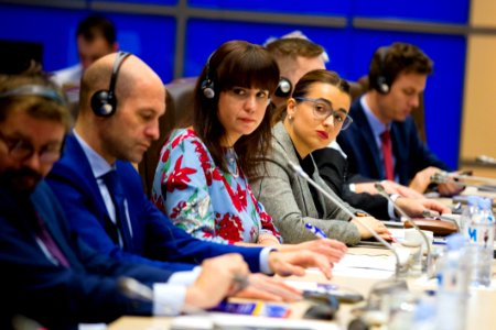 05.12.2019 Conferința de închidere a proiectului Twinning (49172286488)
