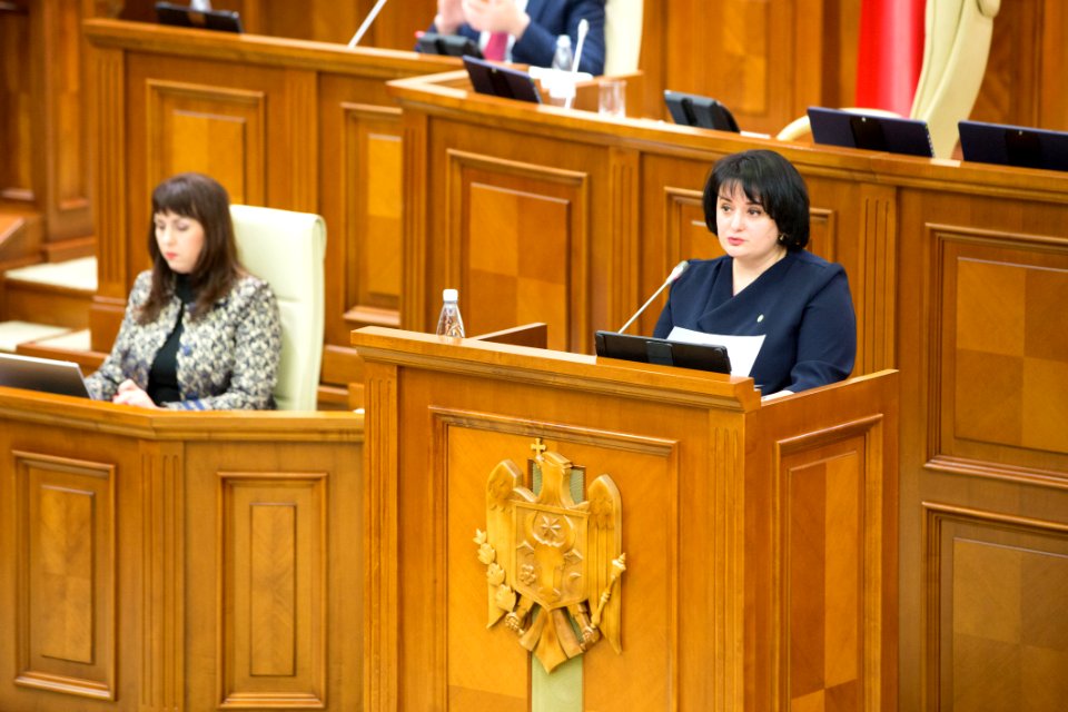 05.12.2019 Ședința plenară (49173502553)