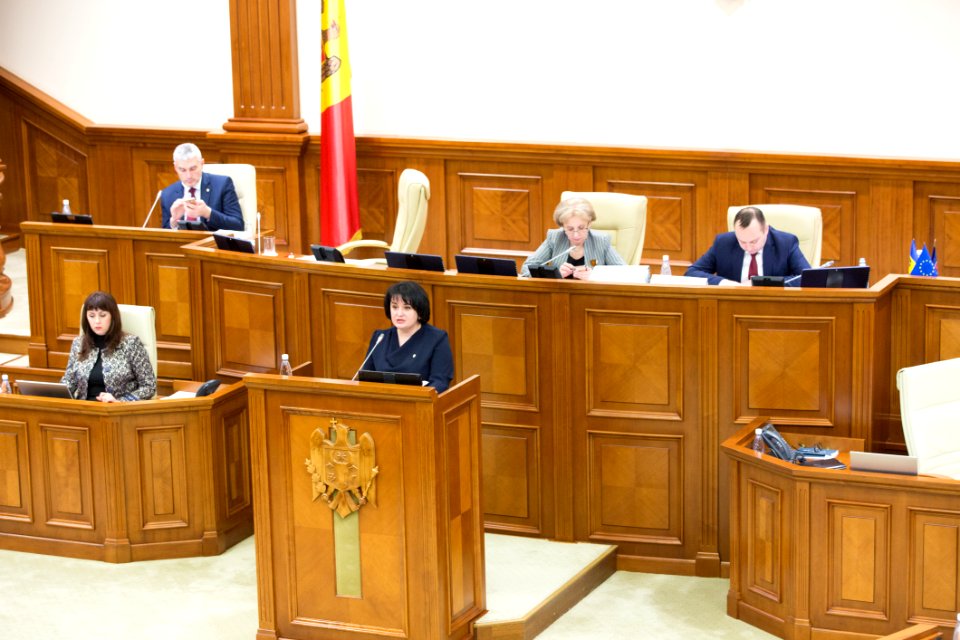 05.12.2019 Ședința plenară (49174207152)