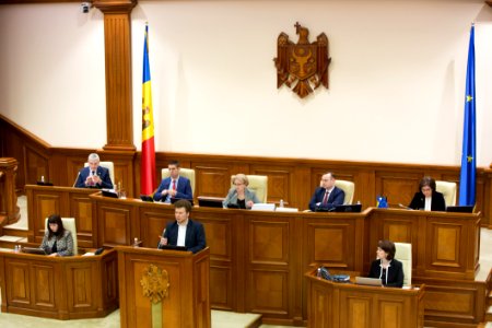 05.12.2019 Ședința plenară (49173502428)