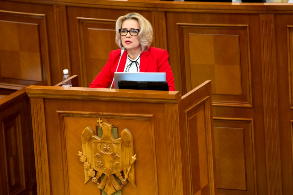05.12.2019 Ședința plenară (49174205987)