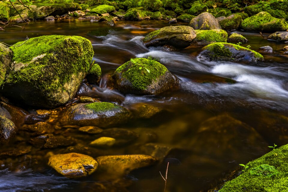 Landscape stones flow