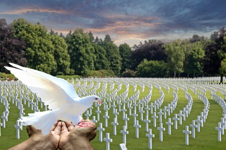 Fallen soldiers memorial dove in hands holding photo