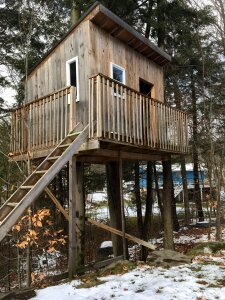 Cabin tree child
