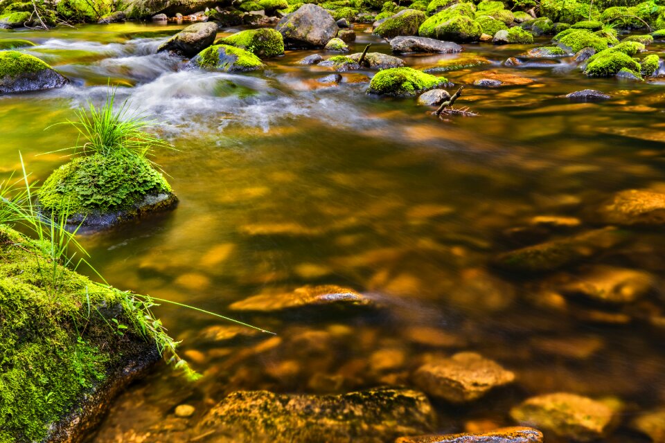 Landscape stones flow