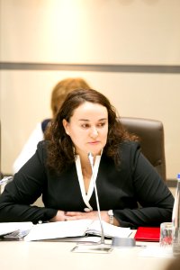 10.12.2019 Ședința de lucru a grupului de inițiativă privind instituirea Platformei consultative a reprezentanților societății civile pe lîngă Parlamentul RM (49197557338)