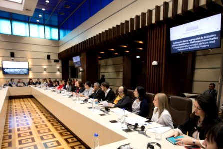 10.12.2019 Ședința de lucru a grupului de inițiativă privind instituirea Platformei consultative a reprezentanților societății civile pe lîngă Parlamentul RM (49198249827)