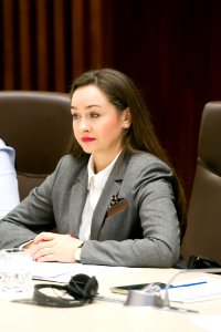 10.12.2019 Ședința de lucru a grupului de inițiativă privind instituirea Platformei consultative a reprezentanților societății civile pe lîngă Parlamentul RM (49197556933)