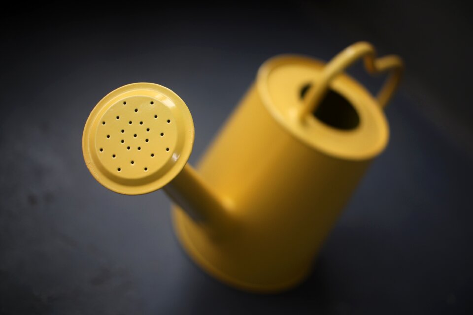 Still life watering yellow