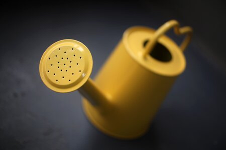 Still life watering yellow