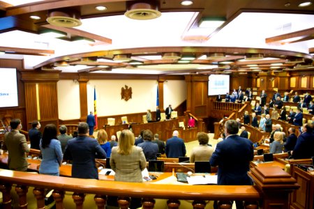 11.02.2021 Ședința plenară a Parlamentului (50931956661)